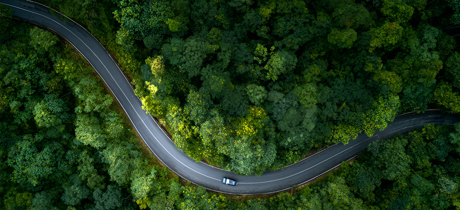 以科技赋能绿色能源 以服务链接全球市场